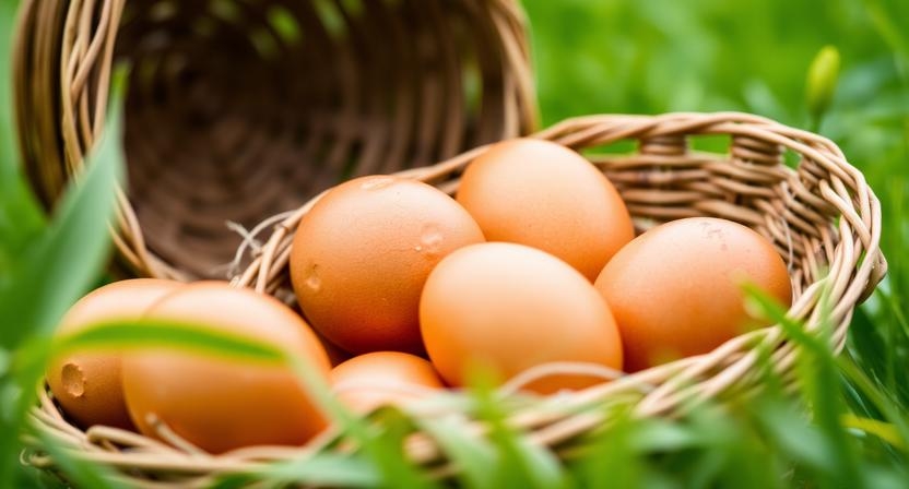 Bruine eieren in een rieten mand