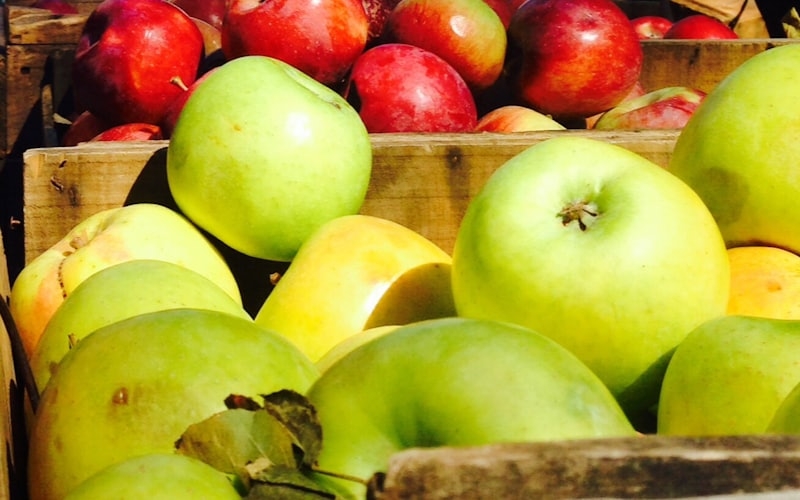 Rode en groene appels in een houten krat